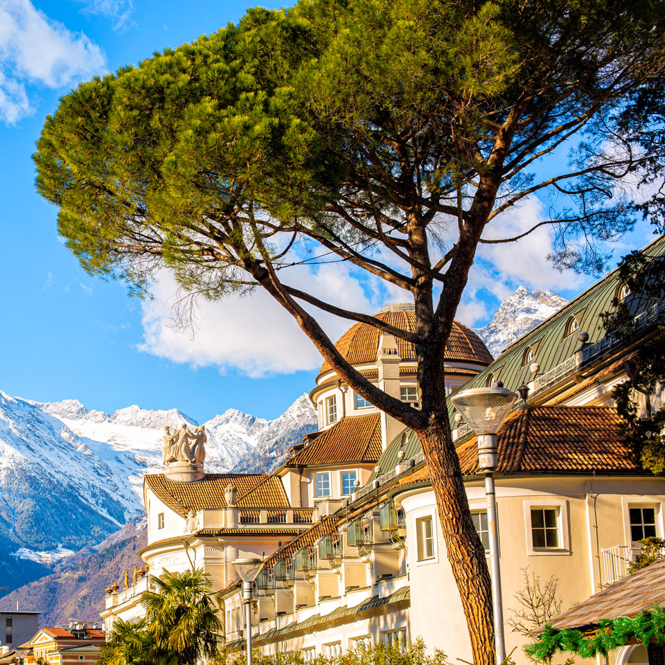 Kur & Wellness­reisen